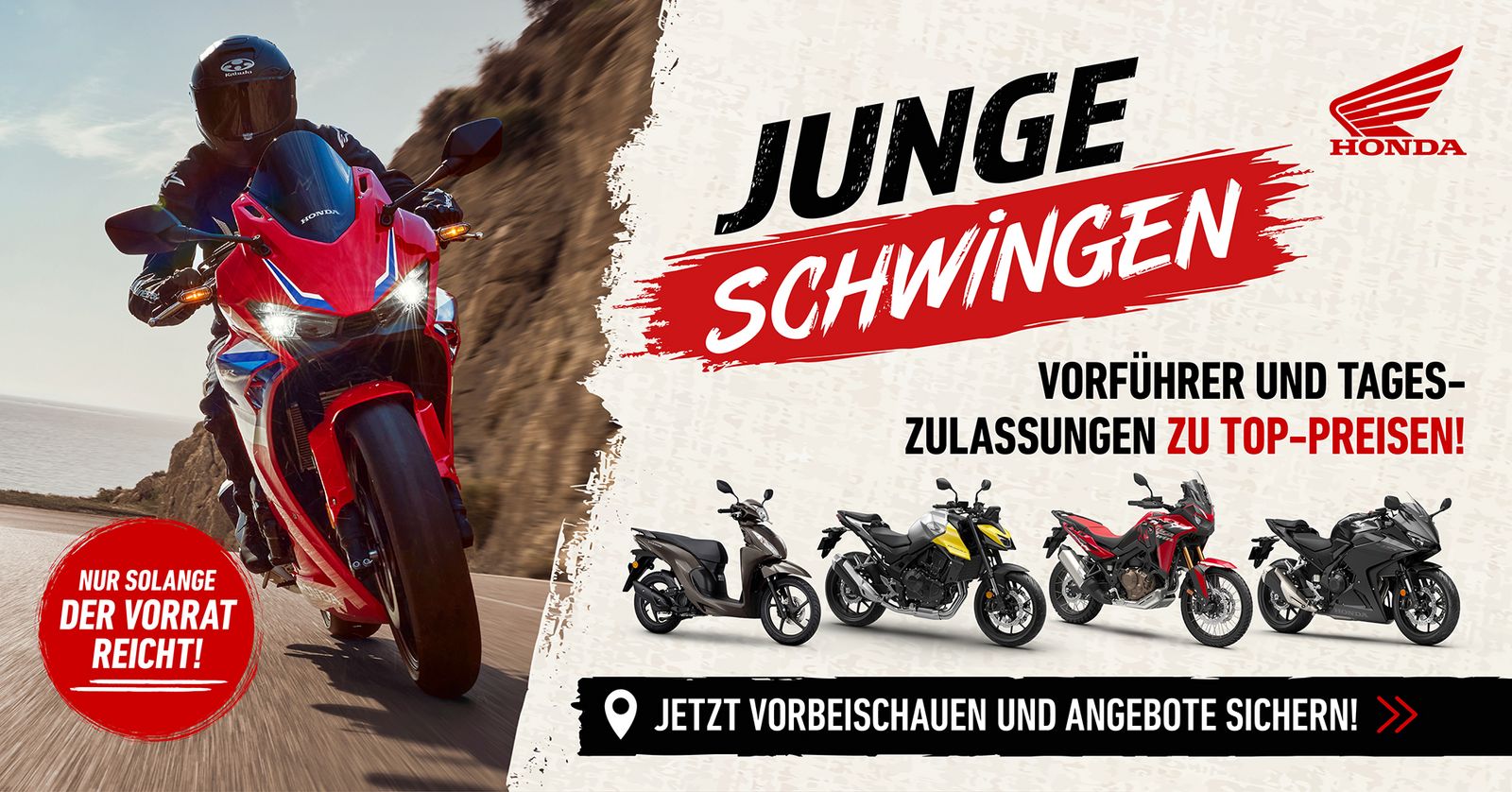Junge-Schwingen_Aktion.jpg